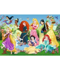 Imagine Puzzle 100 Printesele Sarmante