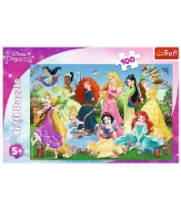 Imagine Puzzle 100 Printesele Sarmante
