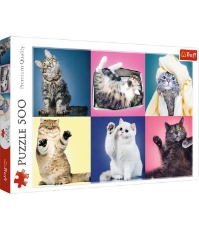 Imagine Puzzle Trefl 500 Pisicute