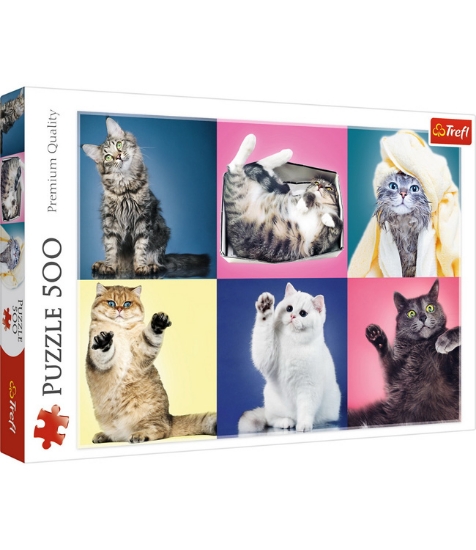 Imagine Puzzle Trefl 500 Pisicute