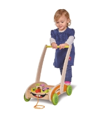 Imagine Carucior Activity Walker cu 35 cuburi