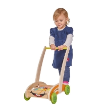 Imagine Carucior Activity Walker cu 35 cuburi