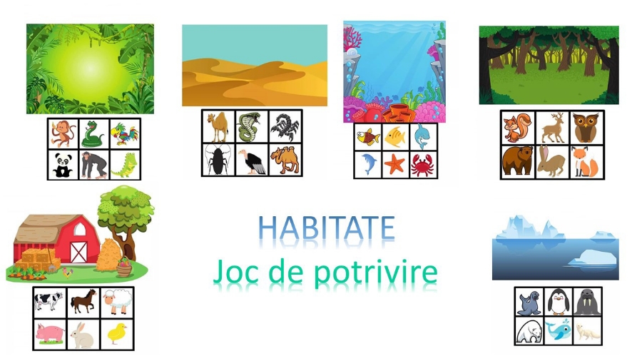 Fise de activitati - Habitate- joc de potrivit