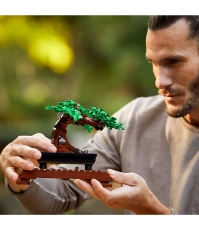 Imagine Lego Bonsai 10281