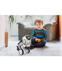 Imagine Robot cu telecomanda Robo Up