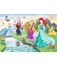 Imagine Puzzle Trefl 60 Disney Princess - Intalneste Printesa