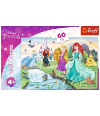 Imagine Puzzle Trefl 60 Disney Princess - Intalneste Printesa