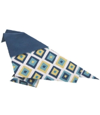 Imagine Origami, pasari