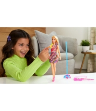 Imagine Barbie papusa Barbie vedeta Malibu