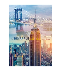 Imagine Puzzle Trefl 1000 Zori de Zi la New York