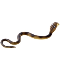 Imagine Sarpe Cobra