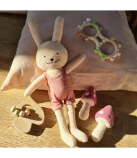 Imagine Jucarie bebe zornaitoare pastel Toys