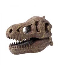 Imagine Kit de sapat - Craniu T-Rex