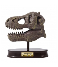 Imagine Kit de sapat - Craniu T-Rex