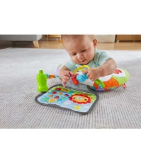 Imagine Fisher Price Pernuta cu activitati