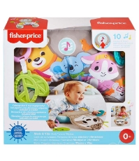 Imagine Fisher Price perna de joaca Lenes