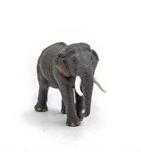 Imagine Figurina elefant Asiatic