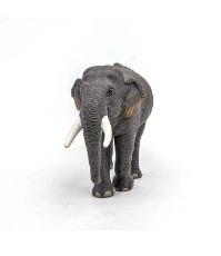 Imagine Figurina elefant Asiatic