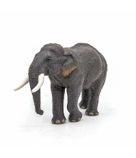 Imagine Figurina elefant Asiatic