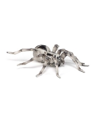 Imagine Figurina tarantula