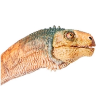 Imagine Figurina dinozaur Chilesaurus