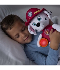 Imagine Patrula Catelusilor plus Snuggle Up Marshall cu burtica luminoasa