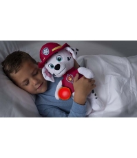 Imagine Patrula Catelusilor plus Snuggle Up Marshall cu burtica luminoasa