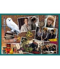 Imagine Puzzle Trefl 10In1 Harry Potter in Lumea lui Harry Potter