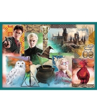 Imagine Puzzle Trefl 10In1 Harry Potter in Lumea lui Harry Potter