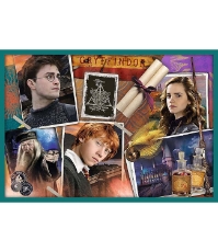 Imagine Puzzle Trefl 10In1 Harry Potter in Lumea lui Harry Potter