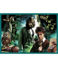 Imagine Puzzle Trefl 10In1 Harry Potter in Lumea lui Harry Potter