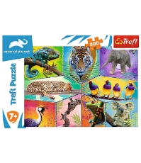 Imagine Puzzle Trefl 200 Animal Planet O lume exotica