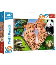 Imagine Puzzle Trefl 100 Natura frumoasa