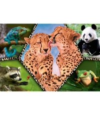 Imagine Puzzle Trefl 100 Natura frumoasa