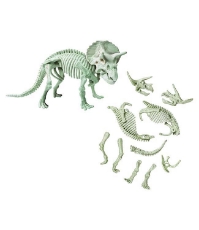 Imagine Descopera dinozaurul Triceratops