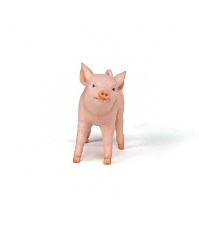 Imagine Figurina Purcica