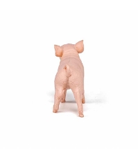Imagine Figurina Purcica