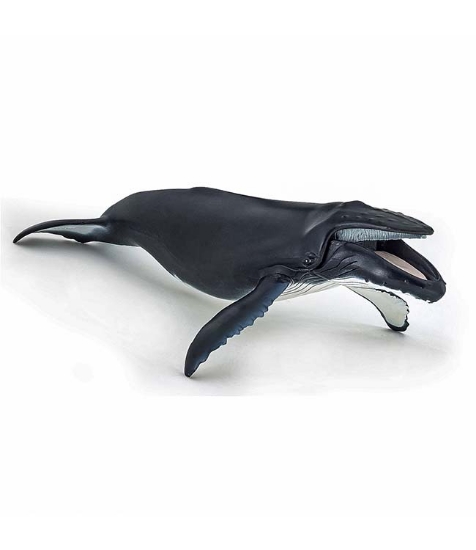 Imagine Figurina balena cu cocoasa