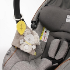 Imagine Carticica pentru bebelusi - Koala