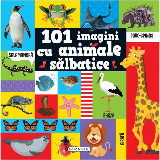 Imagine 101 imagini cu animale salbatice