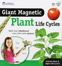Imagine Ciclul vietii plantei - set magnetic
