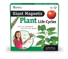 Imagine Ciclul vietii plantei - set magnetic
